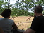 2006_0819DayAtTheZoo.JPG