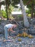 2006_0122_LookJayCoconuts