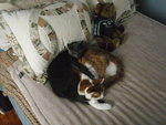 2009_1013SunggleBuddies.JPG