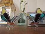 2009_1120GlassButterflies.JPG