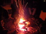 2009_0529FireGlove.jpg