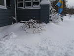 2009_1220Blizzard8.JPG