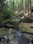 2010_0612Stream.JPG