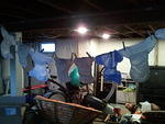 2010-12-14 DiapersOnTheLine.jpg