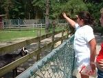 2003 0625BrielleAndGoats