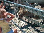 2002_0608KellyFeedingDonkey
