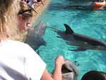 2004 1119 LauraPettingADolphin