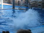 2004 1119 Splash2