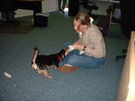 2004 0303LaurenPlayingWithSheeba