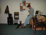 2004 0303SheebaBeggingFromBob