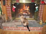xmas06 047.jpg