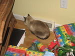 xmas06 050.jpg