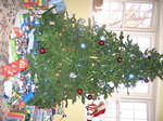xmas06 051.jpg